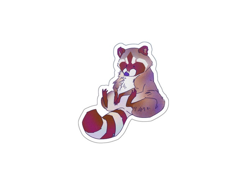 Raccoon Sitting Awkwardly