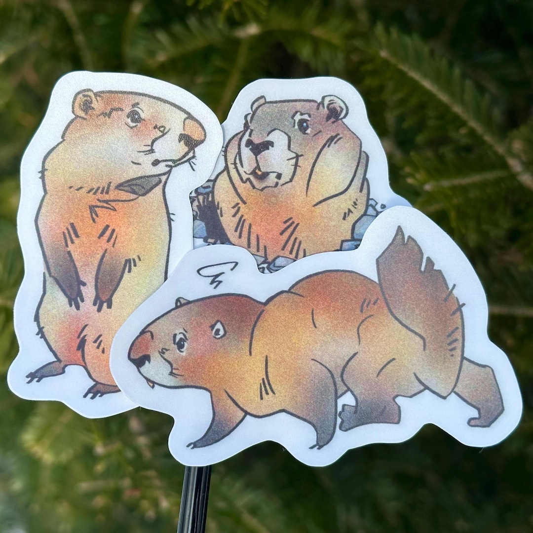 Groundhog Sticker Pack Illustrated Woodchuck Stickers Set of 3 - Etsy