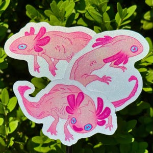Axolotl Stickers, Salamander Sticker Pack, Aquarium Decal Set, Wildlife Sticker, Cute Albino Axolotl Art, Waterproof Matte Vinyl Stickers