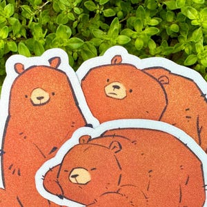 Adesivi orsi scintillanti, pacchetto adesivi orsi bruni, orsi grizzly, adesivi animali selvatici, arte orsi carini, adesivi per telefono, adesivi in vinile impermeabili
