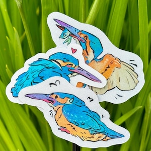 Kingfisher Bird Stickers, Kingfishers Sticker Set of 3 Cute Bird Decals, Nature Illustration, Colorful Stickers for Water Bottle, Waterproof
