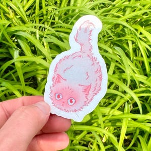 Pink Persian Cat Vinyl Sticker: Fluffy Kitten Decal