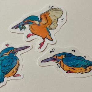 Peut inclure: Trois autocollants repr&eacute;sentant des illustrations de martins-p&ecirc;cheurs. Les oiseaux sont repr&eacute;sent&eacute;s dans diff&eacute;rentes poses, avec des couleurs bleues, oranges et jaunes vives. L'un des oiseaux vole avec un poisson dans le bec, tandis que les autres sont perch&eacute;s.