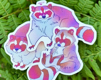 Sparkly Raccoon Stickers, Raccoon Sticker Pack, Trash Panda Sticker, Urban Wildlife, Raccoons Decal, Cozy Illustration