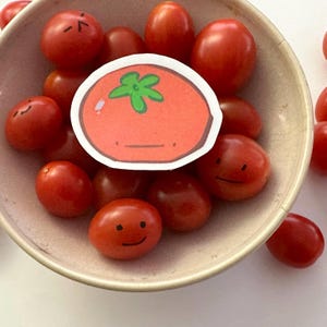 Cute Tomato Sticker, Fruit and Veggie Stickers, Food and Drink Decal, Cooking Stickers for Recipe Book