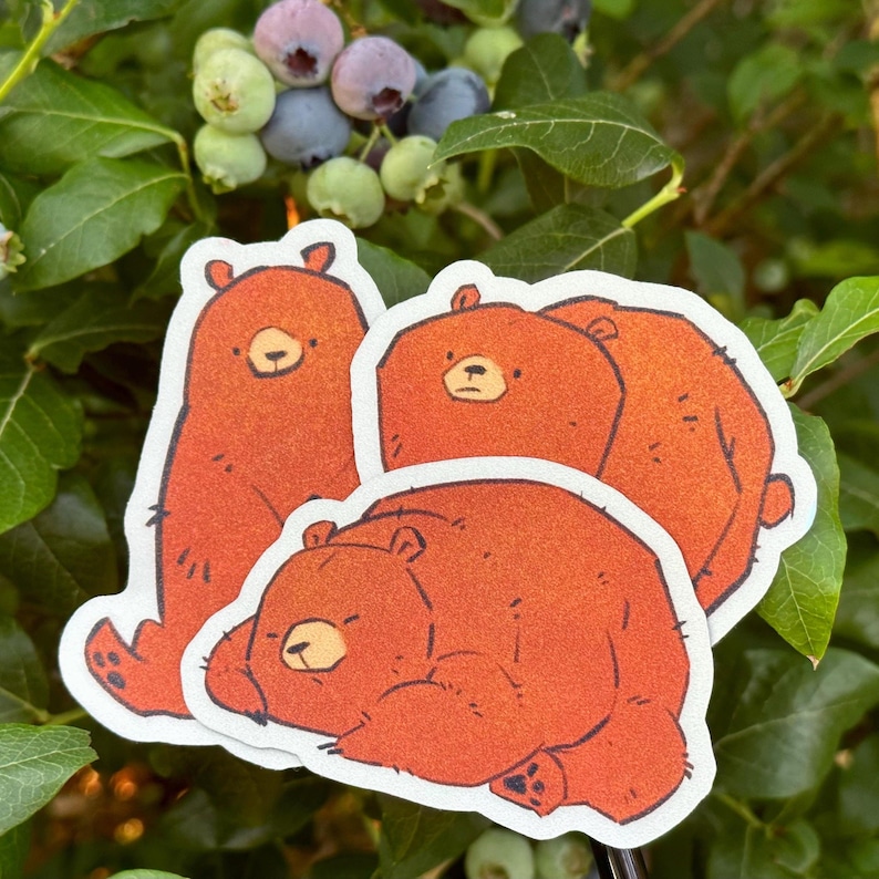 Sparkly Bear Stickers, Brown Bear Sticker Pack, Grizzly Bears, Wildlife Sticker, Cute Bear Art, Phone Sticker, Waterproof Vinyl Stickers image 2
