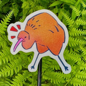 Sticker oiseau kiwi, sticker faune de Nouvelle-Zélande, Angry Birds, art ornithologique, stickers animaux mignons