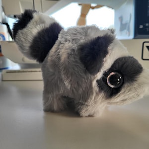 May include: A plush raccoon toy featuring soft, shaggy grey and white fur, a striped tail, and large, round, dark plastic eyes. The stuffed animal has a pointed snout with a small black nose and dark grey patches around its eyes.