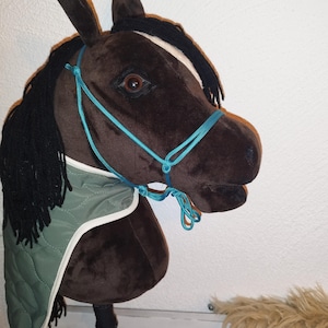 Hobby Horse