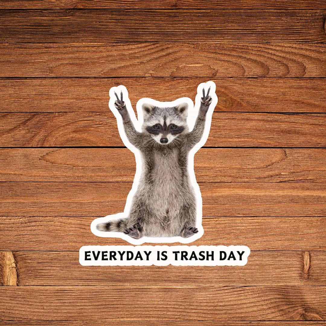 Raccoon Sticker, Funny Sticker, Funny Raccoon Sticker, Sarcastic ...