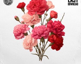 January Carnation PNG, Digital Download, Carnation Clipart, Flower Png, Floral Bouquet Png, Birth Flower Png, Sublimation Png