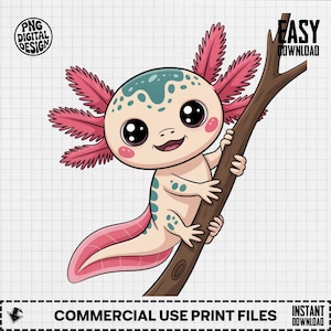 Axolotl Clipart, Cute Animal Clipart, Baby Nursery Clipart, Kawaii Clipart, Baby Shower Clipart, Axolotl PNG Digital Download