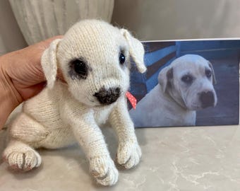 May include: A knitted white puppy with dark eyes and a brown nose. The puppy has floppy ears and a red and white polka dot ribbon. A photograph of a similar dog is in the background.
