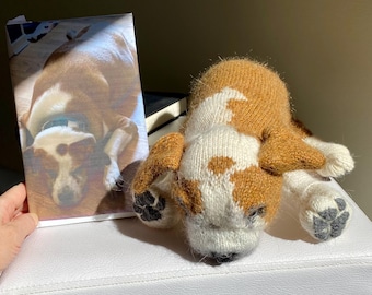 May include: A handmade, knitted dog plush toy in brown, white, and gray. The dog is lying down with its head resting on its paws. Next to the plush is a framed photo of a dog, mirroring the plush's appearance. The plush has a soft, textured appearance.