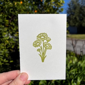 May include: A white card featuring a green floral design. The illustration depicts a cluster of daisies with detailed petals and stems. The card is held against a backdrop of green foliage and a bright blue sky.