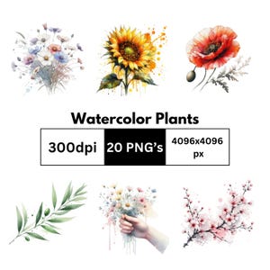Aquarell Blumen Linie Kunst | Minimalistisches botanisches Shirt Design | Ästhetische Tinte & Aquarelldruck | Von der Natur inspirierte T-Shirt Kunst | Digital