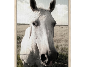 Czarno-biała sztuka koni: wydruk na płótnie w ramie, elegancki wystrój domu