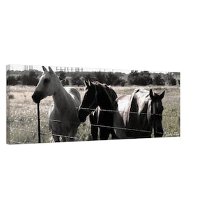 Majestic Horses Canvas Print: Equestrian Wall Art