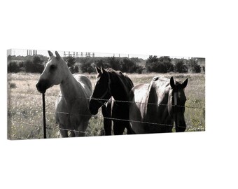 Majestatyczne konie, wydruk na płótnie: sztuka ścienna z motywem jeźdźca