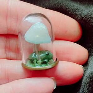 Tiny Glow in the Dark Mushrooms and Froggie Dome cloche