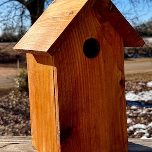 Rustic Bird House