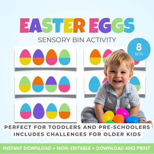 Easter Egg Sensory Bin Activity Printable, Toddler Color Matching Game, Easter Preschool Learning, Montessori Fine Motor, Instant Download