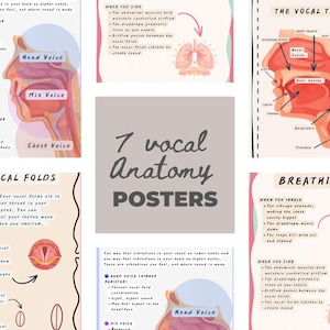 Könnte beinhalten: Ein Satz von sieben Lehrpostern zur Stimmbandanatomie mit Diagrammen des Vokaltraktes, der Stimmbänder und der Atmung. Die Poster haben eine weiche Farbpalette mit Text und Illustrationen, einschließlich der Worte "7 vocal anatomy posters."
