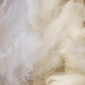May include: Close-up of a pile of fluffy, off-white material. The texture appears soft and cloud-like, with varying densities and subtle shadows. The material is likely a natural fiber, possibly wool or cotton, used for stuffing or crafting.