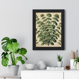 Gerahmtes Vertikales Poster, Vintage Oregano Poster Druck, Weiches Wand Kunst Dekor, Kräuter Botanischer Druck, Shabby Chic Wohnkultur, Rustikal