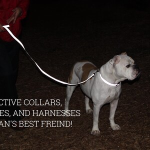 Könnte beinhalten: Ein weißer Hund mit einer reflektierenden Leine und einem Halsband geht im Dunkeln. Der Text "REFLECTIVE COLLARS, LEASHES, AND HARNESSES FOR MAN'S BEST FRIEND!" befindet sich am unteren Rand des Bildes.
