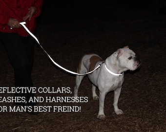 Reflective Dog Leash: 5' Nylon Lead for Safe Night Walking