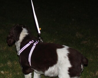Pettorina riflettente per cani: nylon grigio tempesta, sgancio rapido