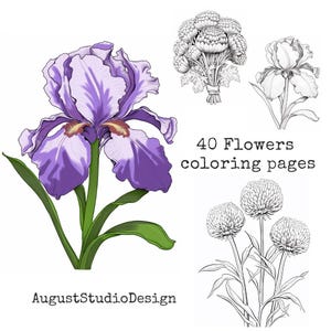 40  Flowers Coloring Pages - For Adults And Kids Coloring Book, Greyscale, Digital Coloring Sheets, Instant Download, Printable PDF File.