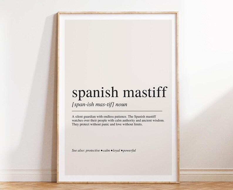 a framed definition of the Spanish mastiff, which is a large, powerful, and intelligent breed of dog known for its protective nature and calm demeanor.