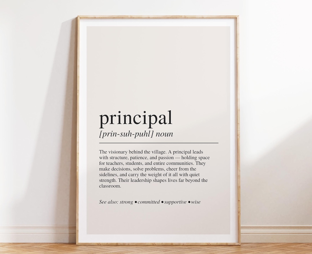 PRINCIPAL DICTIONARY DEFINITION visual data 7