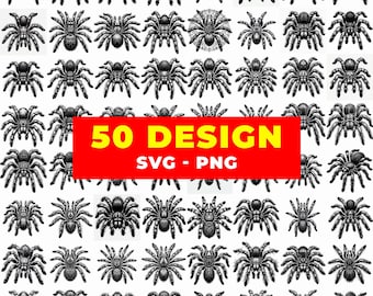 50 Spider SVG Bundle | Tarantula Clipart PNG | Horror Insect Vector Set | Gothic Spider Designs for Cricut & Silhouette