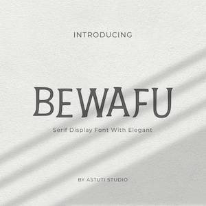 Elegant Serif Font: Luxury Display Typeface (Digital Download TTF Files)