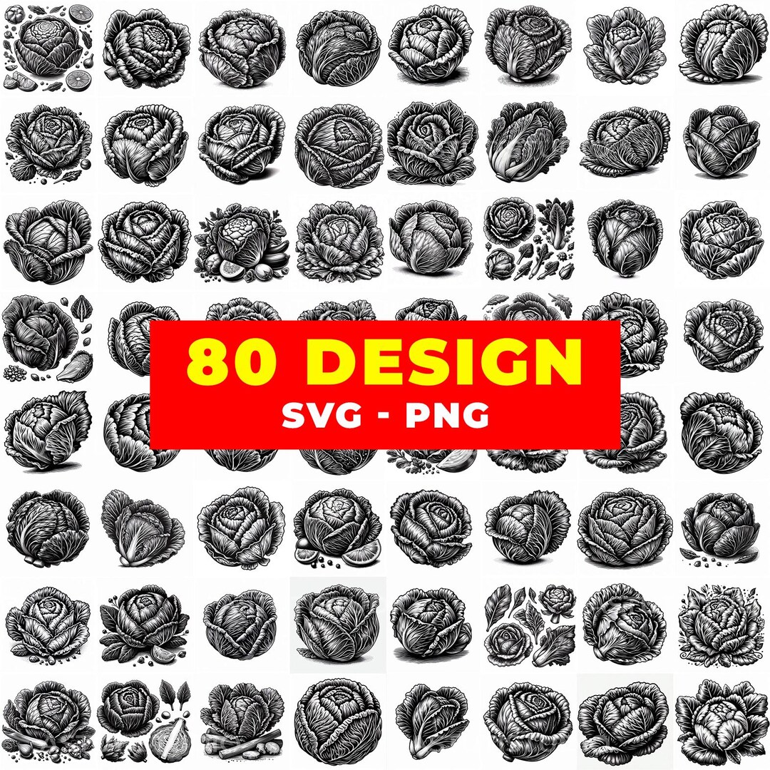 Cabbage Rose Engraving Illustrations | Floral SVG PNG Bundle - Etsy