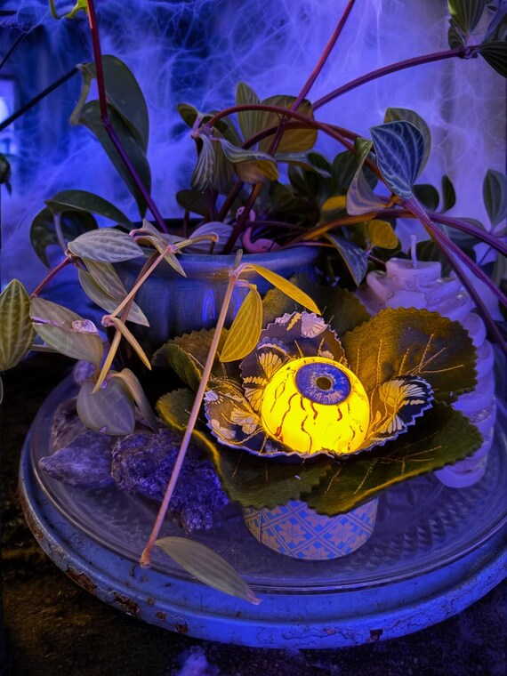 A gothic eyeball 'bloom' plant light — handmade whimsical decor that fuses houseplant culture with creepy-cute horror aesthetics in a genuinely original way.