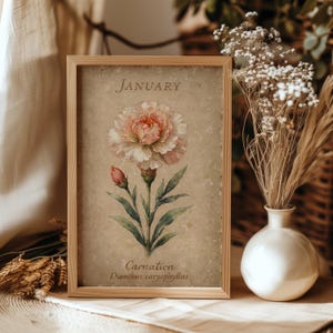 January Birth Flower Carnation Digital Floral Art Print | Vintage Botanical Wall Decor | Pink Carnation | Gift for Her | January Birth Month