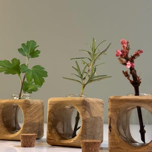 May include: Three wooden cube vases with glass vials inside, each holding a different type of greenery. The vases are made of natural wood with a rustic finish. The greenery includes rosemary, a leafy green plant, and a pink flowering branch.
