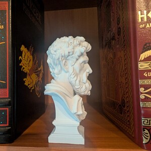 May include: A white bust of a bearded man with curly hair, displayed on a shelf between two large books. The sculpture has a detailed face and is mounted on a rectangular base. The books have gold lettering and decorative designs.