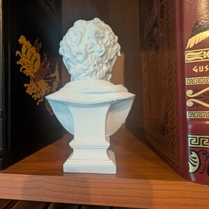 May include: A white bust of a classical figure, showcasing the back of the head and shoulders. The sculpture is positioned on a wooden shelf between two books. The bust has detailed hair and a simple, elegant design.