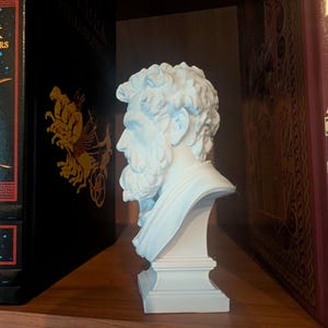 May include: A white bust of a bearded man with curly hair, set on a pedestal. The sculpture is positioned on a wooden shelf between two books with gold lettering and decorative covers. The bust is a classical art piece.