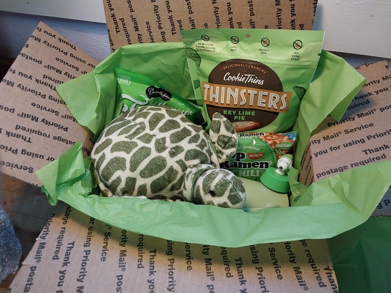Cute Green Turtle Gift Box - Etsy