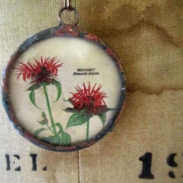 Vintage Antique Botanical Red Bergamot Flowers  Under Glass Necklace