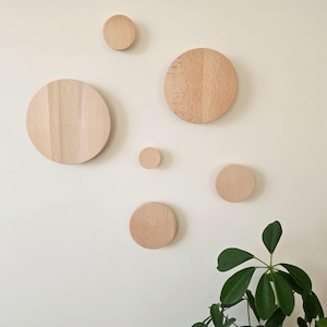 Puede incluir: Un conjunto de seis círculos decorativos de madera de diferentes tamaños, montados en una pared de color claro. Los círculos son de madera clara, mostrando la veta natural. Una planta verde es visible en la esquina inferior derecha.