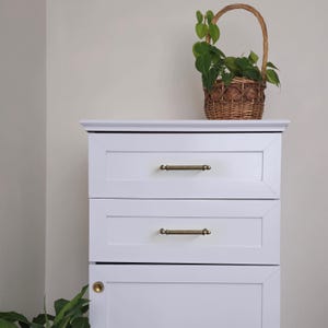 Può includere: Un mobile bianco con tre cassetti e maniglie color ottone. Un cestino in vimini con manico, pieno di piante verdi, è posto sopra il mobile. Il mobile è contro un muro di colore neutro.