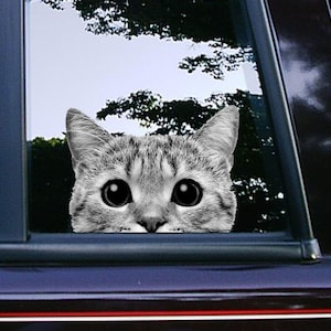 Grey Cat Peeker Peeking Peekabo Sticker Car Decals Decal Stickers Cartoon Sticker Waterproof Weatherproof Cute Kitten Cat Decals