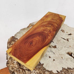 Burma Padauk Exotic Wood Lumber Hardwood 6 3/8&quot; x 19 3/4&quot; x 2&quot; #PD37